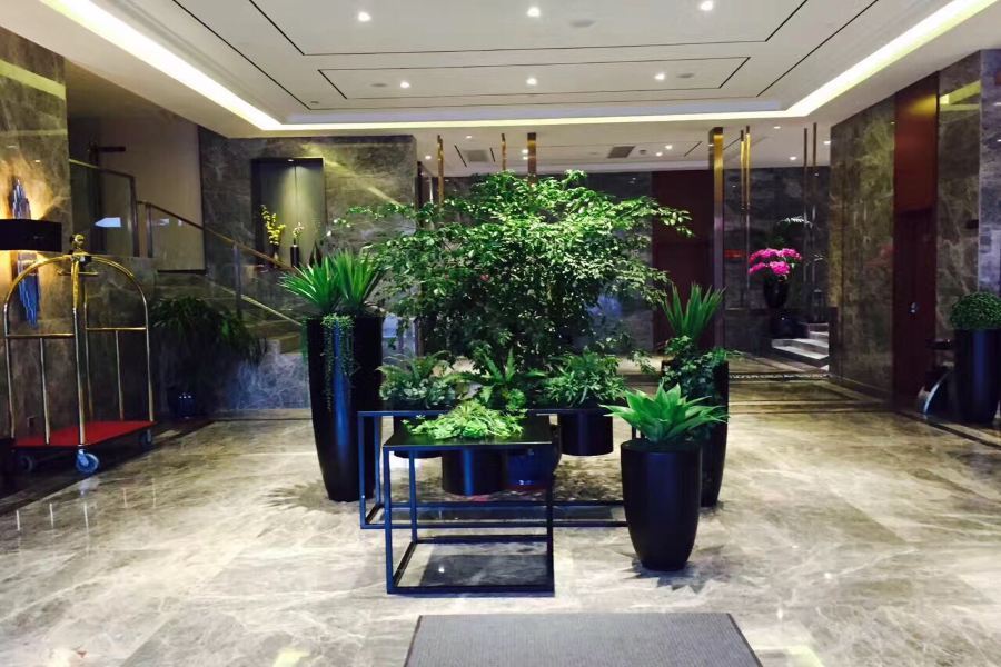 上海虹桥枢纽临空园区和颐酒店 外观 照片